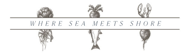 Where Sea Meets Shore Text Banner over vegetables and sea life